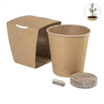 MerryGrow - Christmas tree growing kit - branded promotional product