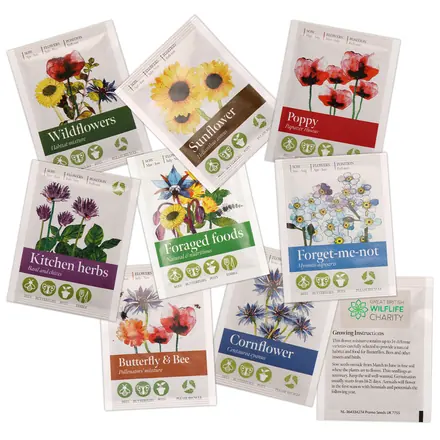 Standard Seed Packet - branded promotional product