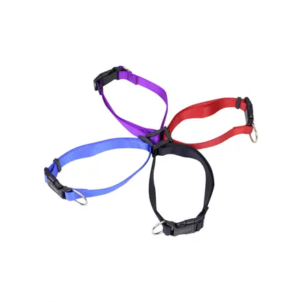 Dog Collar - branded promotional product
