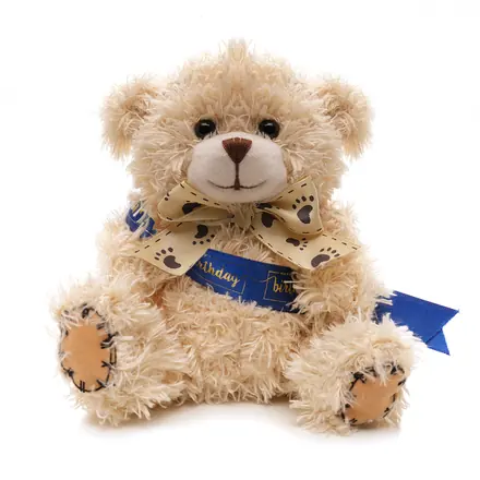 Small Patched Paw Teddy - Sash - branded promotional product
