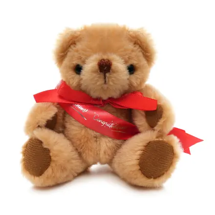 Small Jointed Teddy - Sash - Laltex promotional product, branded with your logo