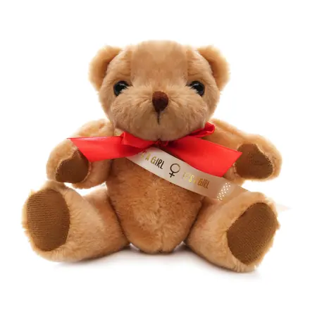 Medium Jointed Teddy - Sash - branded promotional product