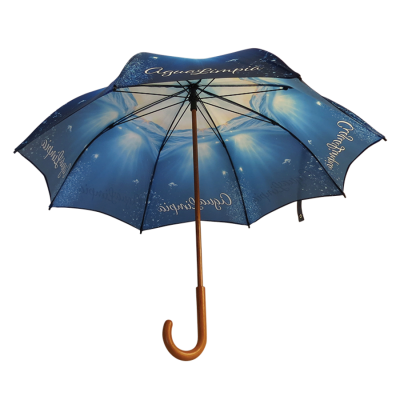 Spectrum City Cub – Wooden Stem & Stormproof Handle