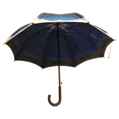 Executive Double Canopy Automatic Walking Umbrella