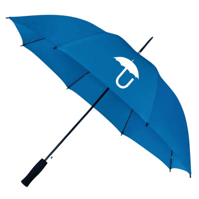 Budget Walker: Modern Auto-Open Compact Umbrella