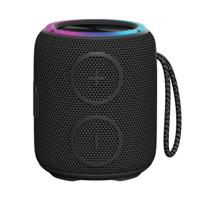 Branded IPX7 Urban Vitamin Palmdale 16W Speaker for Events