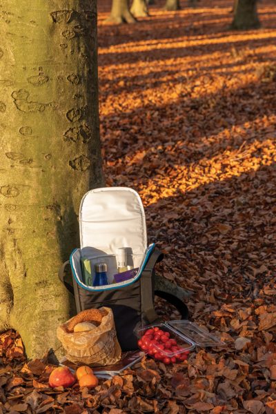 Explorer Portable Cooler Bag – Branded for Outdoor Events
