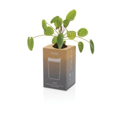 Personalised Avira Tumbler 300ML – Keeps Drinks Hot & Cold