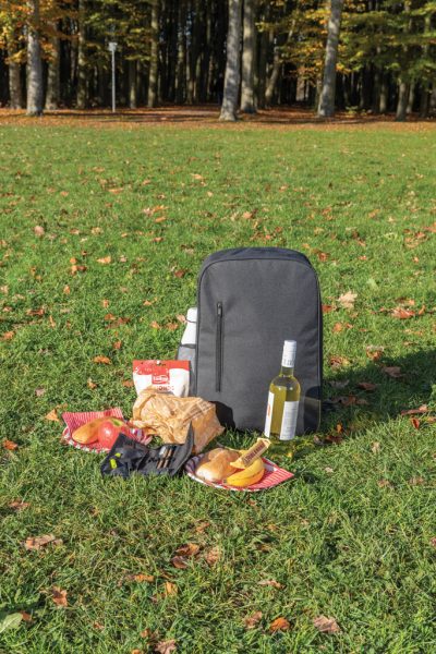 Tierra cooler backpack