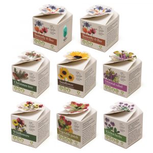 Mini Box Seed Kit